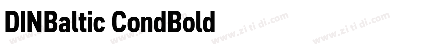 DINBaltic CondBold字体转换